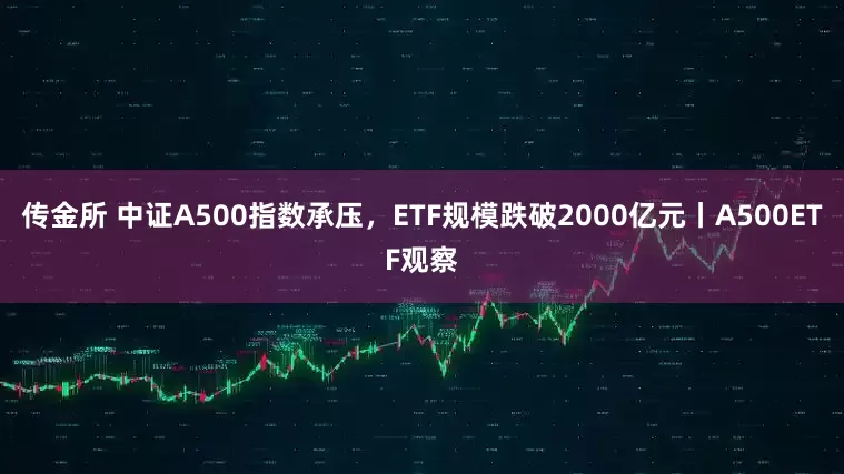 传金所 中证A500指数承压，ETF规模跌破2000亿元丨A500ETF观察