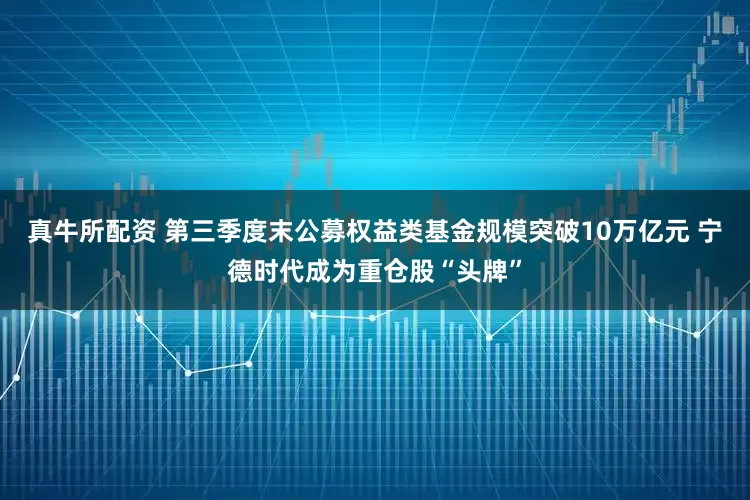 真牛所配资 第三季度末公募权益类基金规模突破10万亿元 宁德时代成为重仓股“头牌”